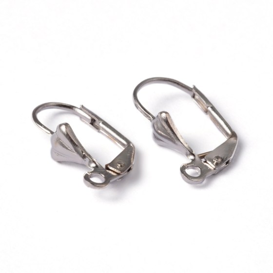 Ohrhaken 18 x 10 mm, platin